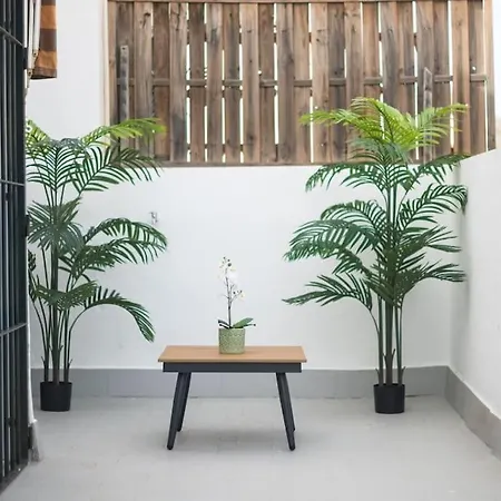 Atico Ispal Con Terraza En Centro Daire